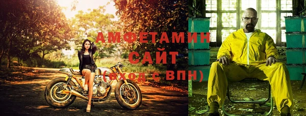 шишки Кедровый