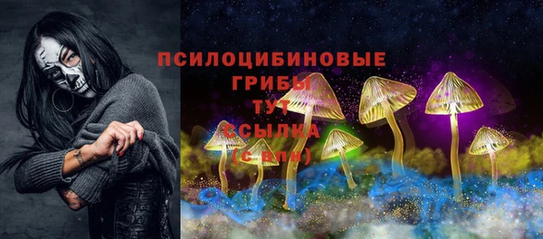 дмт Новодвинск