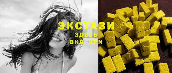шишки Кедровый