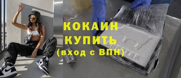 молекула духа Осинники