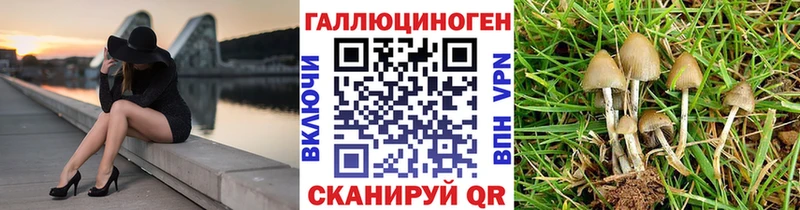 магазин hydra ONION Псилоцибиновые грибы Magic Shrooms Карабулак