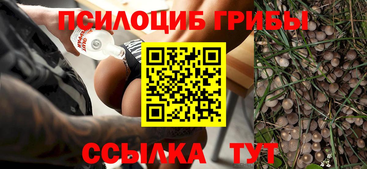 Карабулак  Галлюциногенные грибы мицелий  Вход с VPN  Псилоцибиновые грибы MAGIC MUSHROOMS 