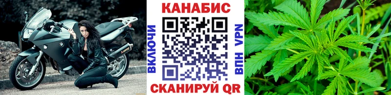 Конопля сатива  Карабулак 